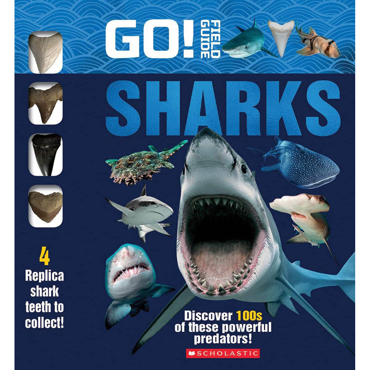 Go! Field Guide: Sharks (Novelty Book)