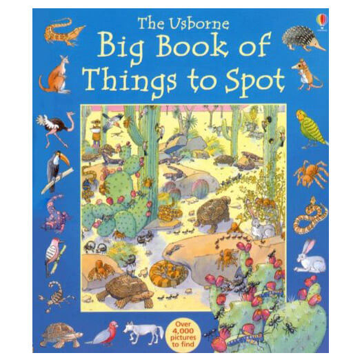 Usborne Big Book of Things to Spot (1001 Things to Spot)