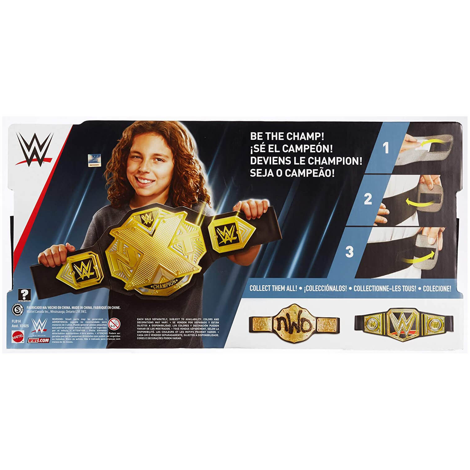 WWE NXT Championship Belt