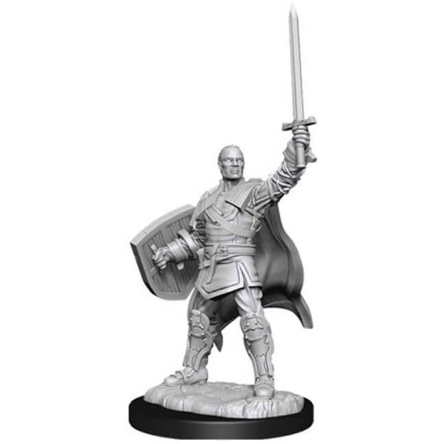 Wizkids D&D Nolzur's Marvelous Miniatures Human Paladin Miniatures