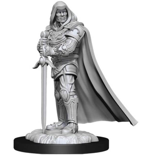 Wizkids D&D Nolzur's Marvelous Miniatures Human Paladin Miniatures