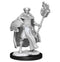 Wizkids D&D Nolzur's Marvelous Miniatures Multiclass Cleric + Wizard Male Miniature