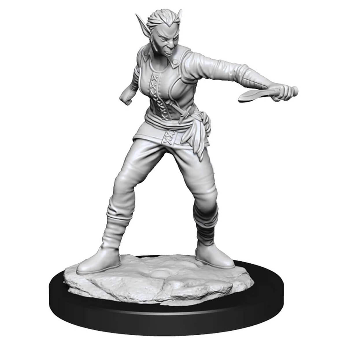 Wizkids D&D Nolzur's Marvelous Miniatures Shifter Rogue Female Miniatures