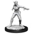 Wizkids D&D Nolzur's Marvelous Miniatures Shifter Rogue Female Miniatures