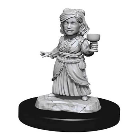 Wizkids D&D Nolzur's Marvelous Miniatures Silver Dragon Wyrmling & Halfling Dragon Friend Miniature