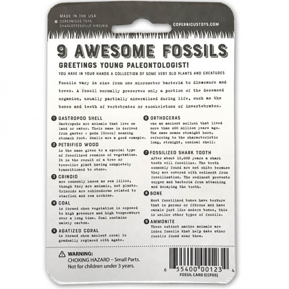 Copernicus Toys Awesome Fossils Specimen Card Set