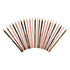 Crayola 24ct Colors of the World Colored Pencils