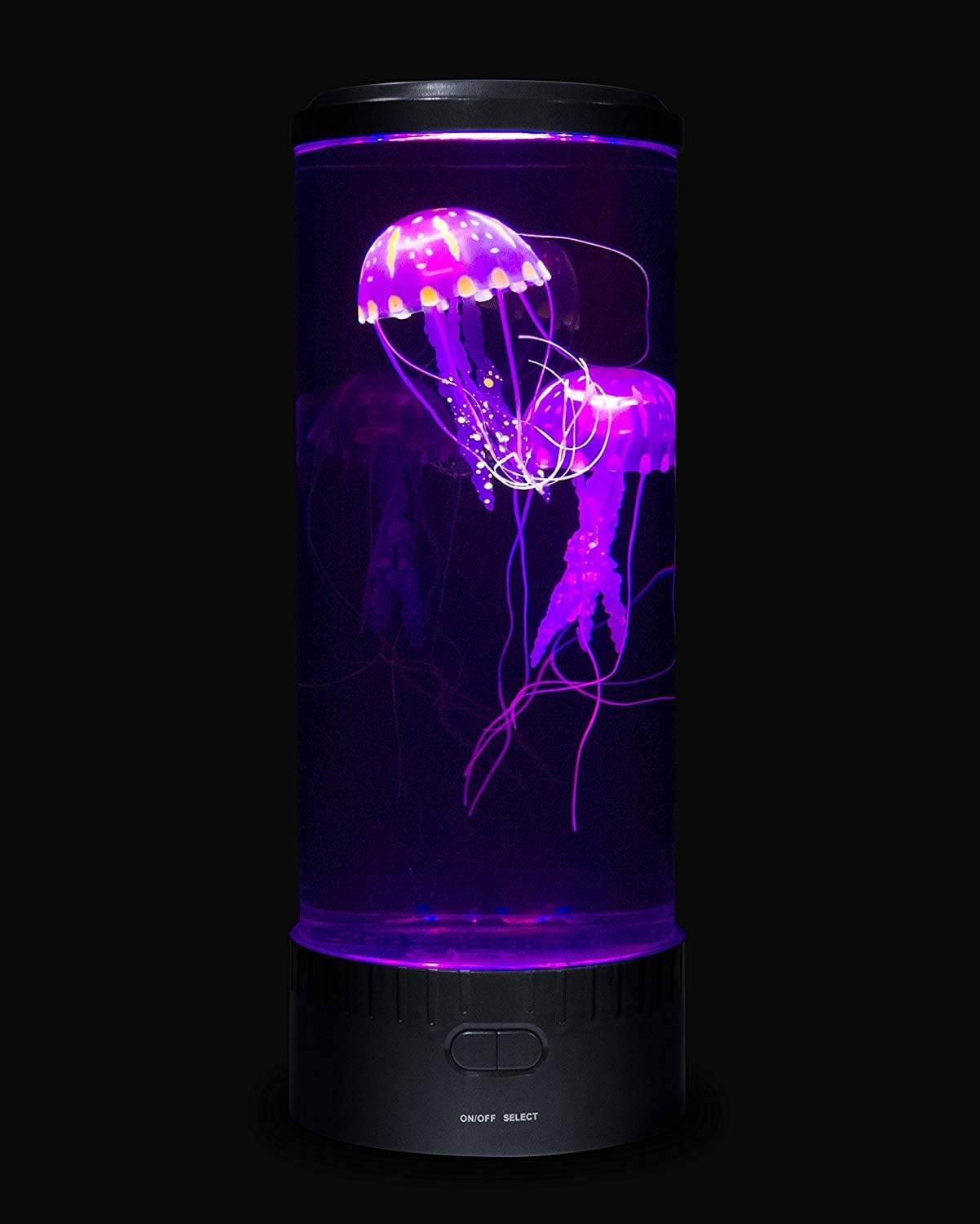 Front view of the purple jellyfish.