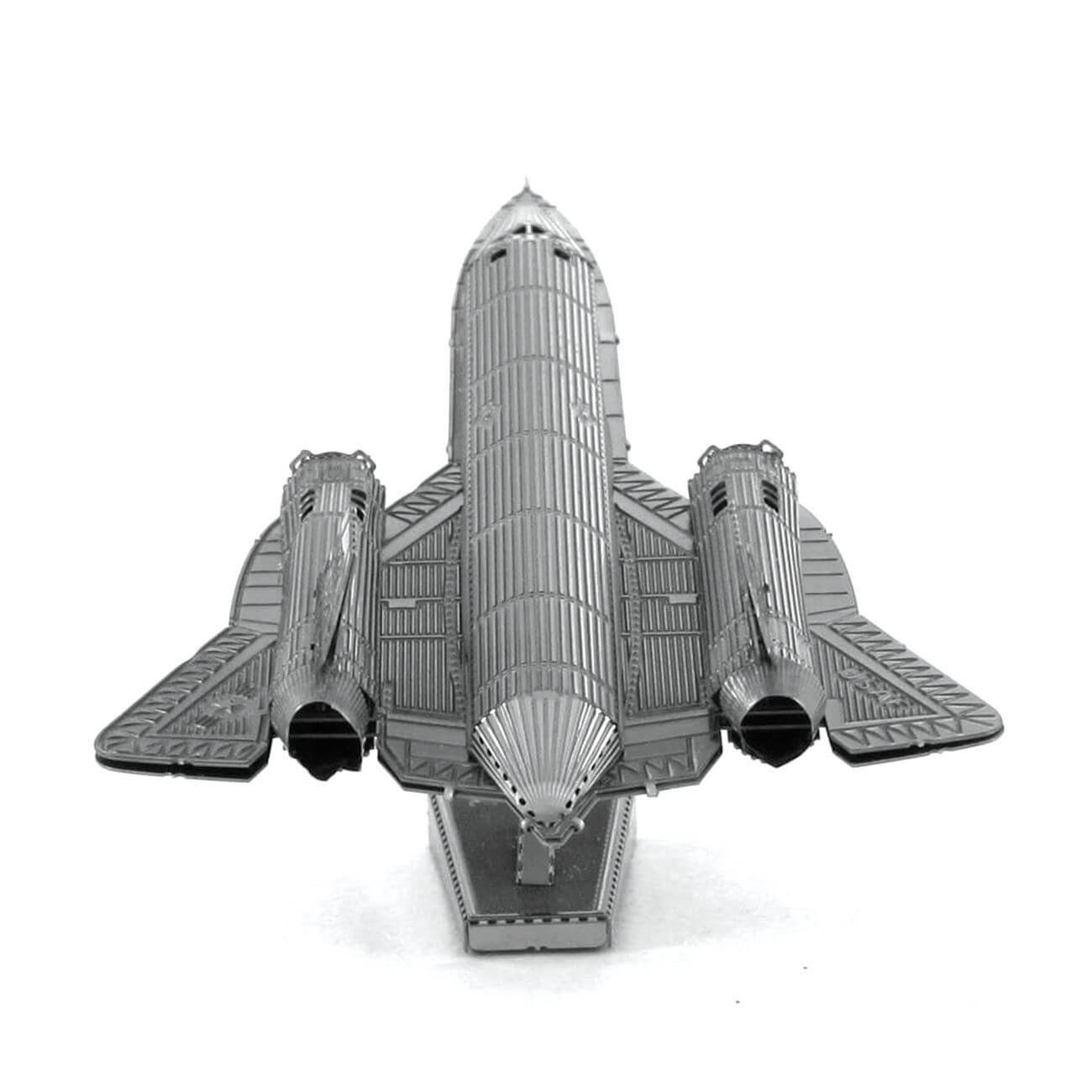 Back view of the completed blackbird.