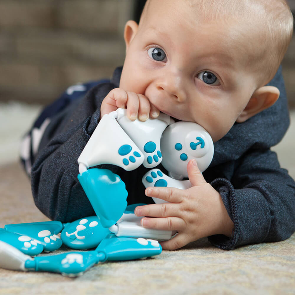 Fat Brain Toys Twistimals - Bear
