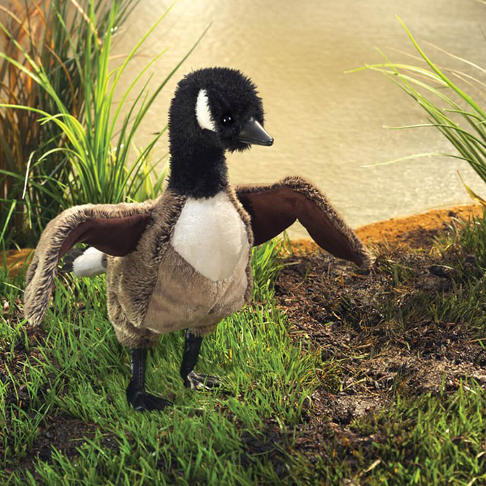 Folkmanis Goose Hand Puppet in a natural green setting to show how realistic they look.