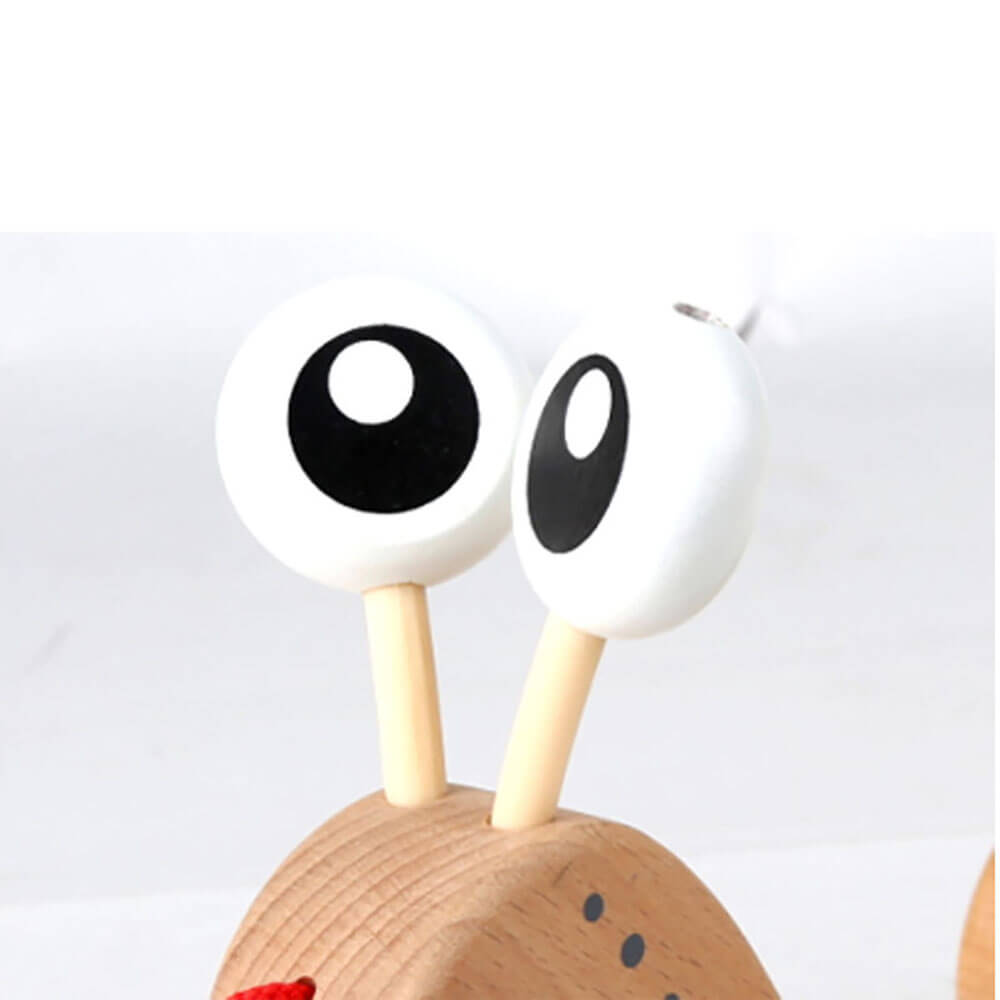 Hape Walk-A-Long Snail
