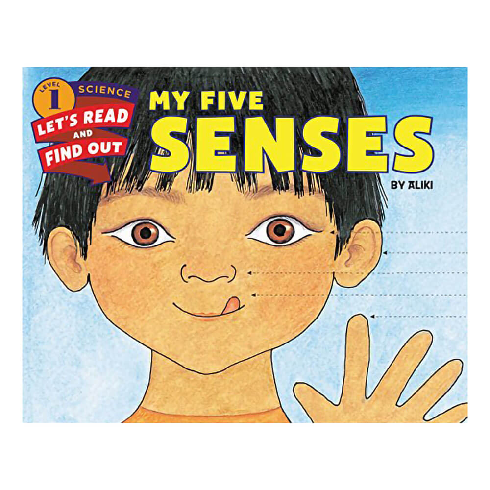 My Five Senses (Paperback)