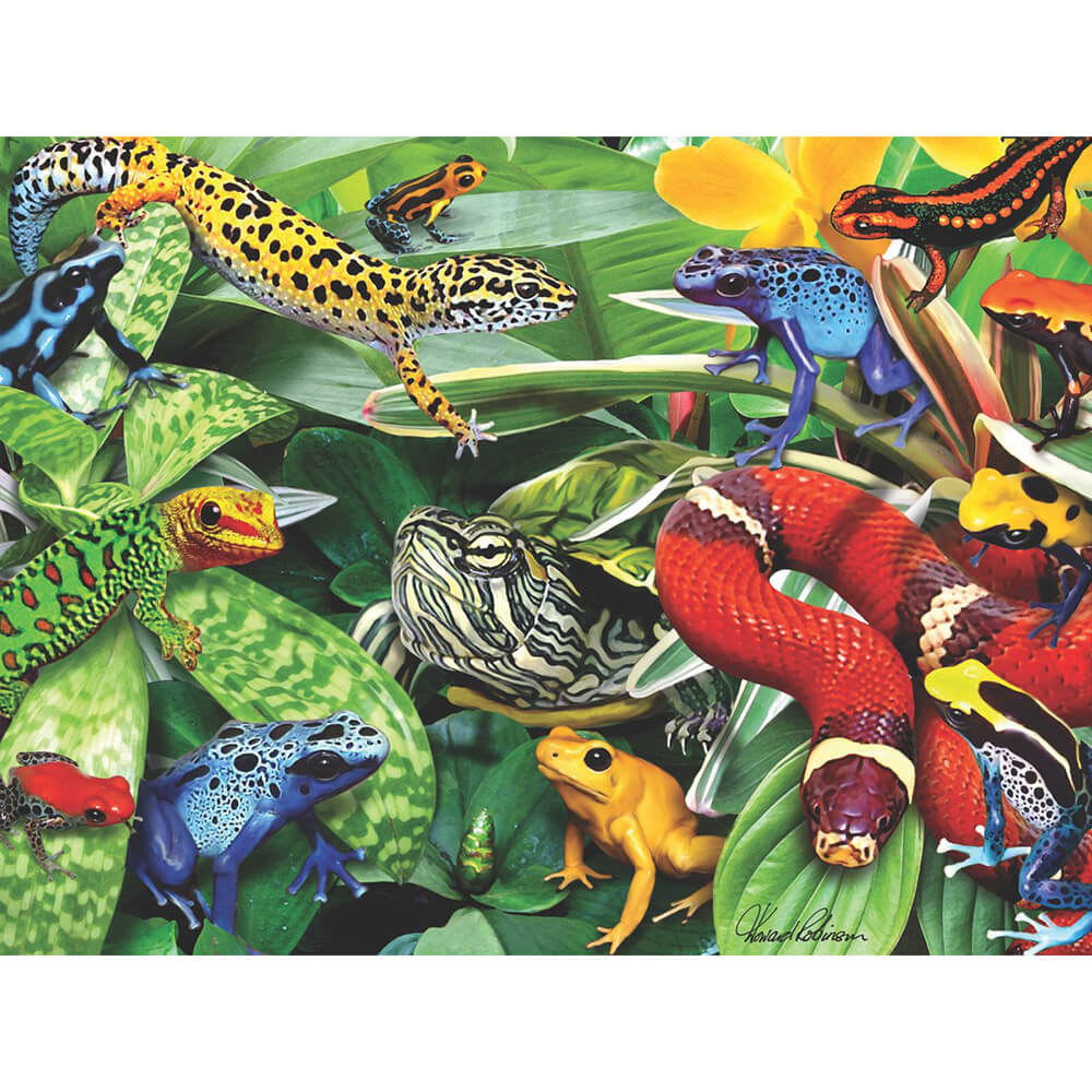 Howard Robinson Super 3D Puzzle Dart Frogs & Reptiles 500 Pc