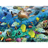 Howard Robinson Super 3D The Journey Begins 500 Pc