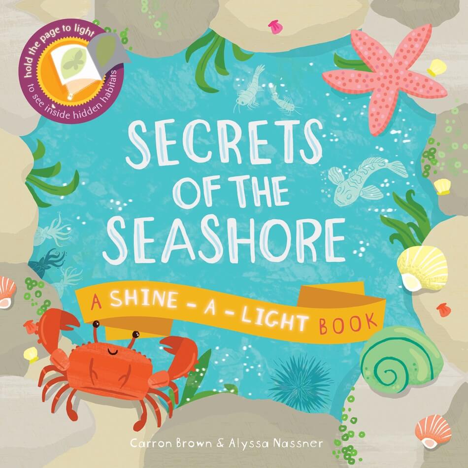 Kane Miller Secrets of the Seashore Book (Shine-A-Light Book)