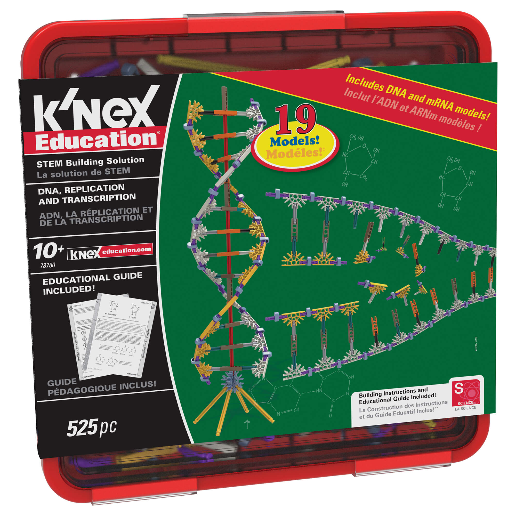 K'NEX Education DNA Replication & Transcription Set