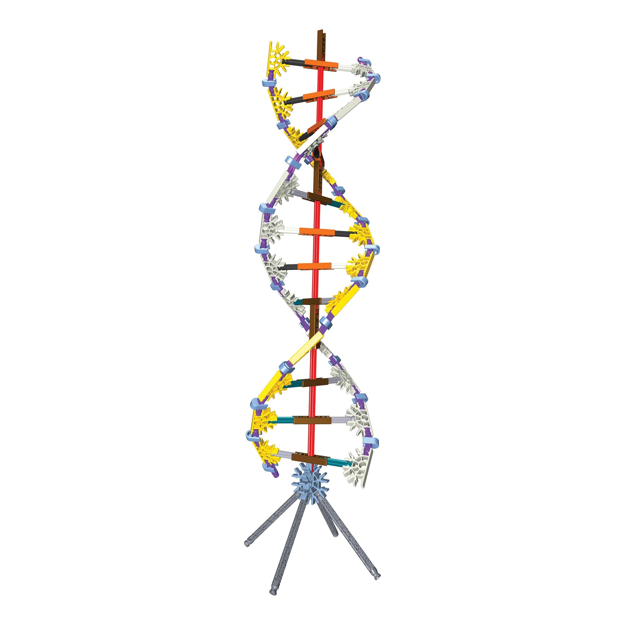 K'NEX Education DNA Replication & Transcription Set