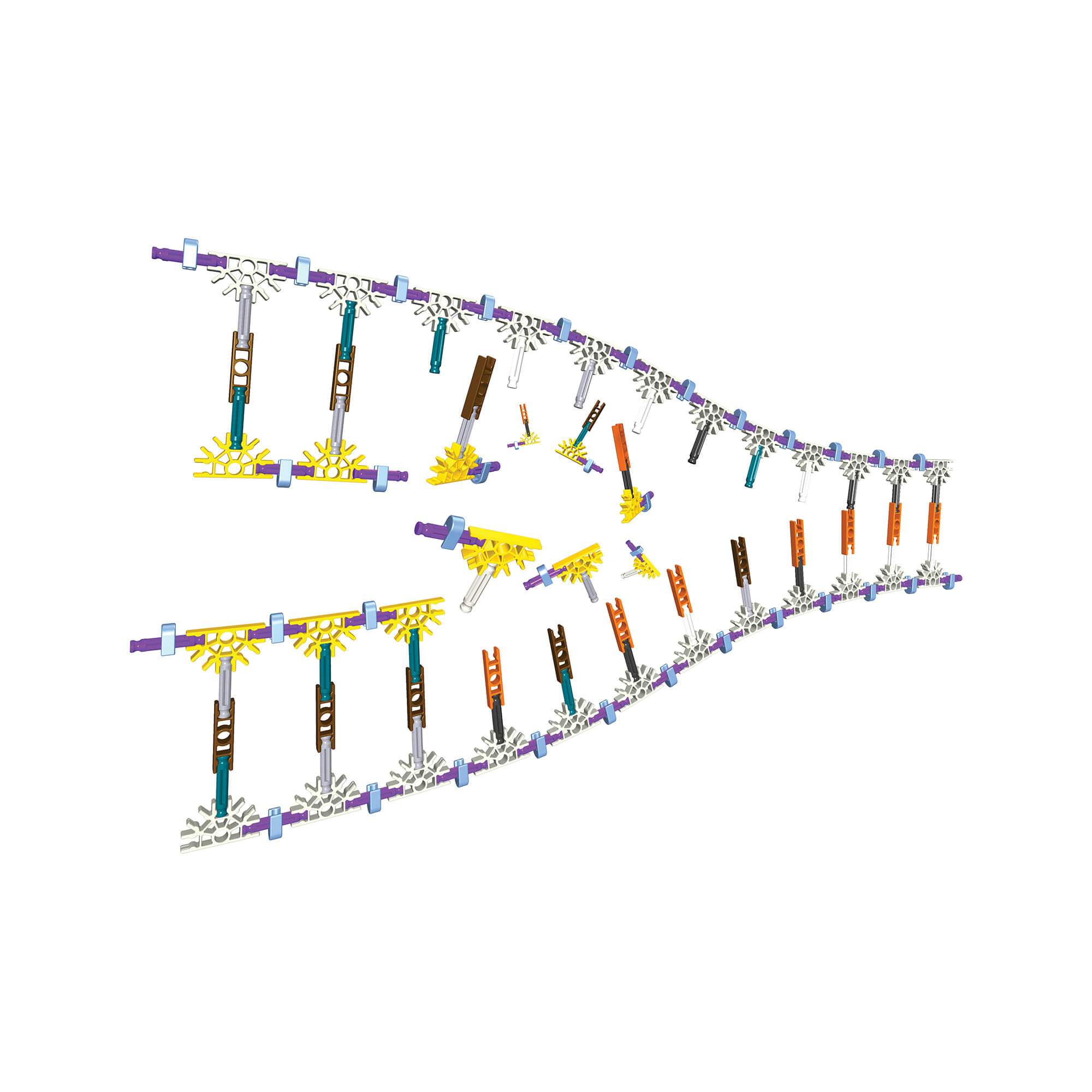 K'NEX Education DNA Replication & Transcription Set