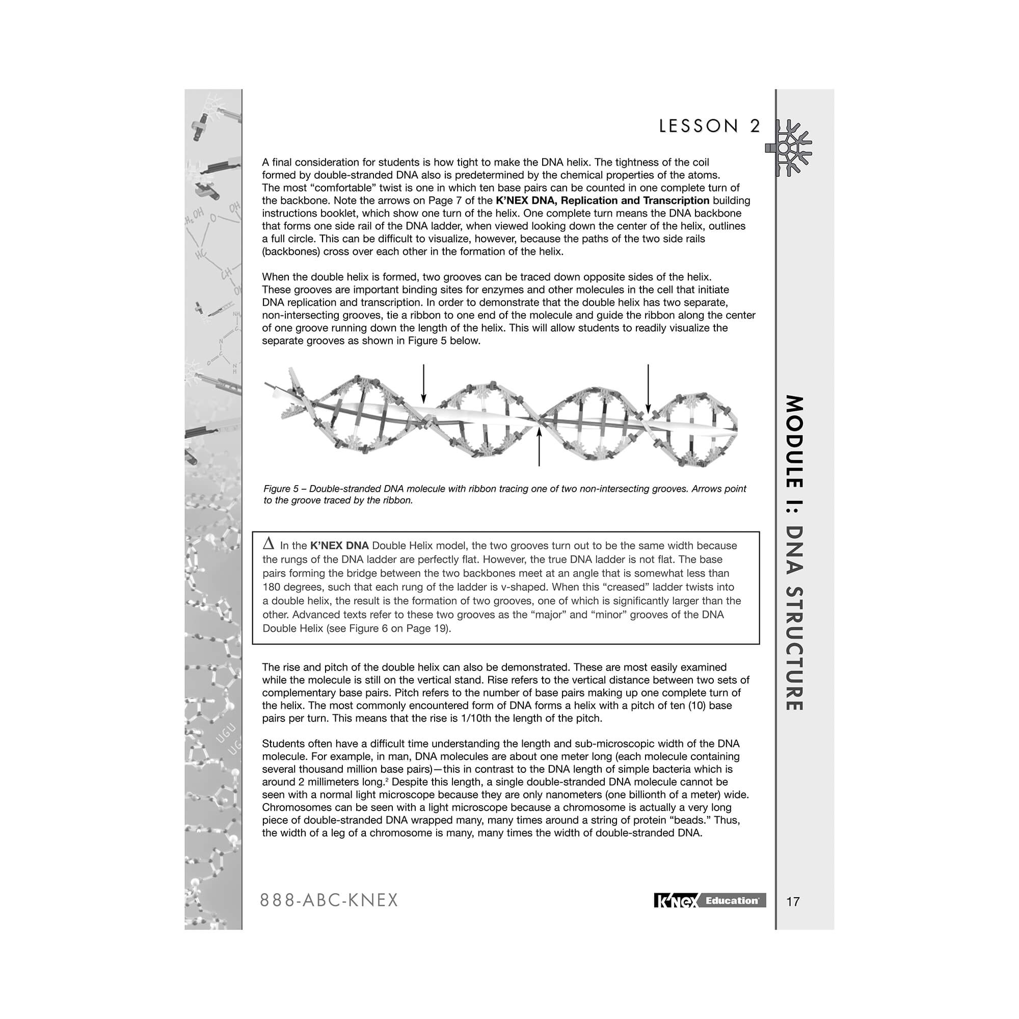 K'NEX Education DNA Replication & Transcription Set