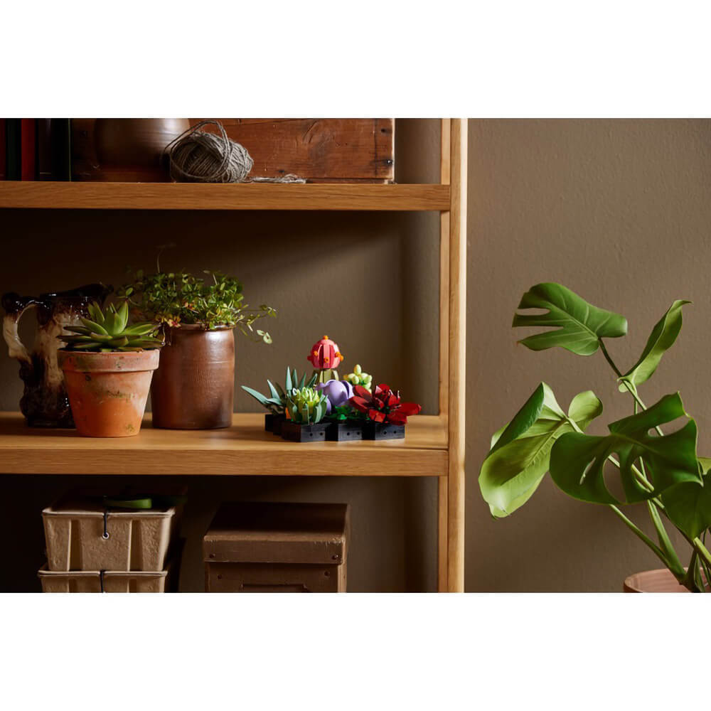 succulents 10309 LEGO® Creator Expert Succulents Plant Decor Kit (771 Pieces) – Maziply Toys
