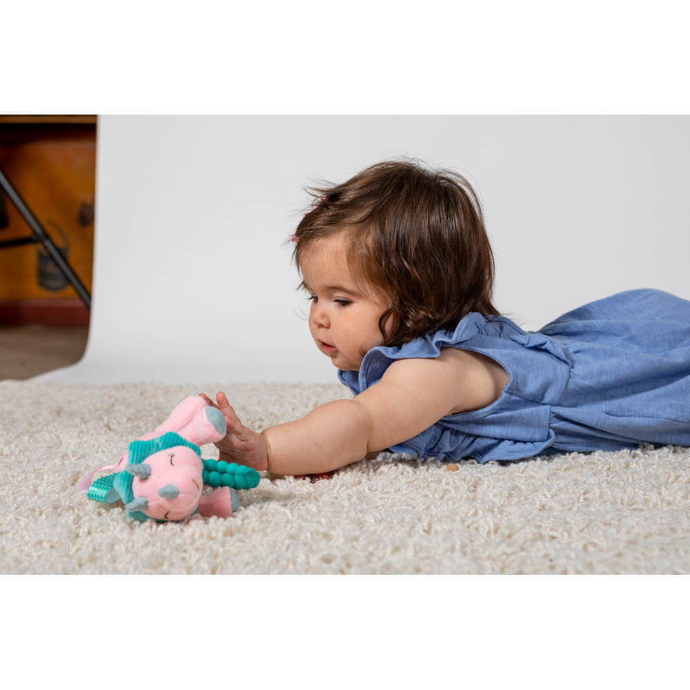 Mary Meyer Taggies Aroar-a-saurus 5" Plush Teether Rattle