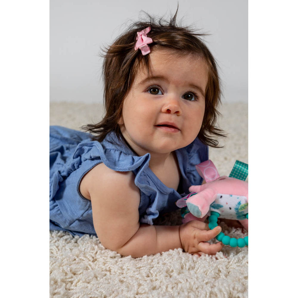 Mary Meyer Taggies Aroar-a-saurus 5" Plush Teether Rattle