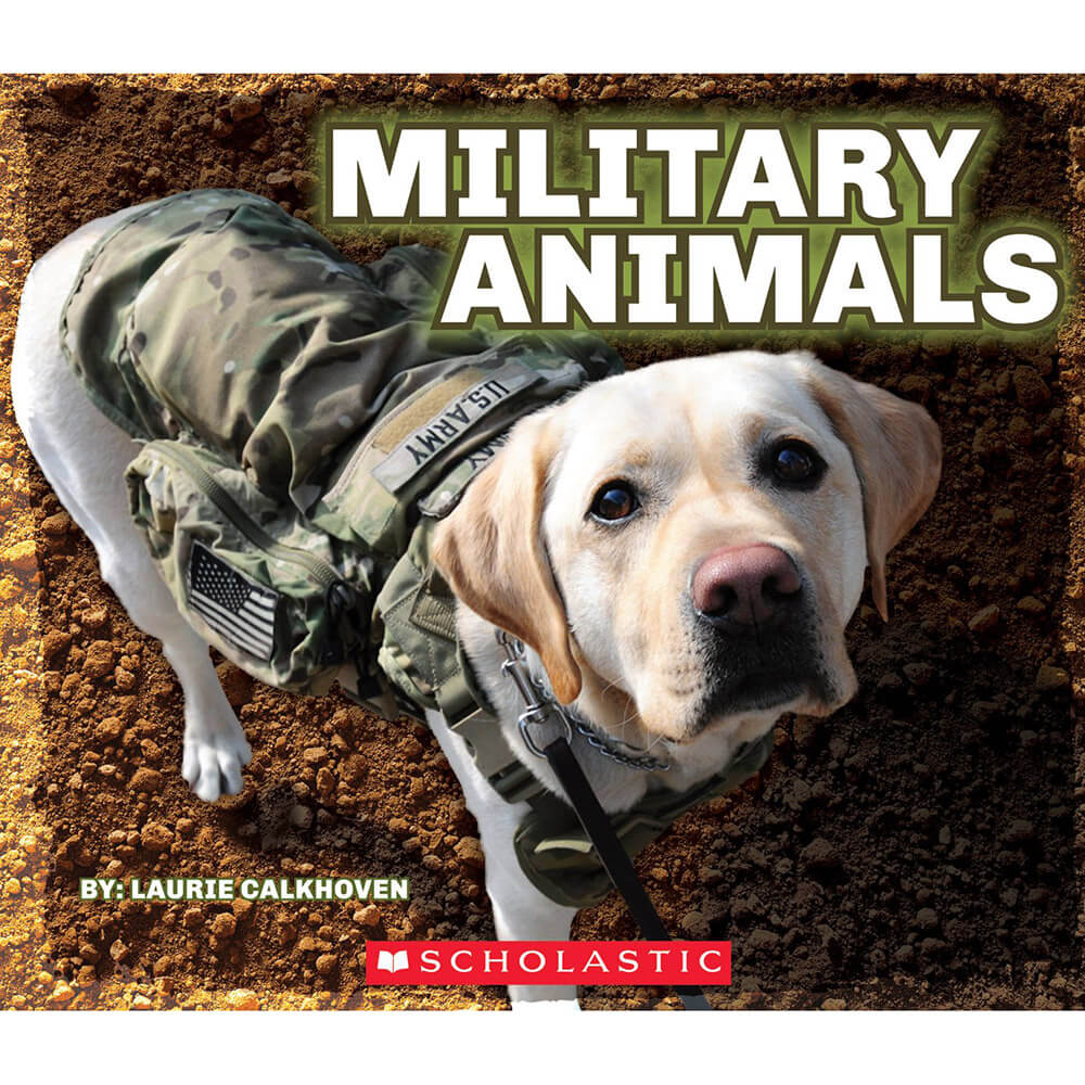Military Animals (with dog tags)