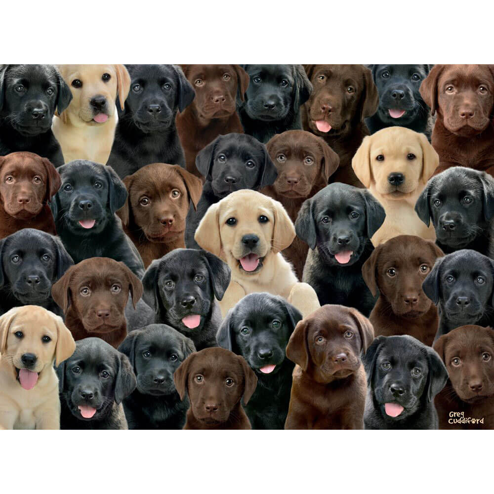 Ravensburger 100 pc Puzzles - Labradors