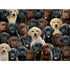Ravensburger 100 pc Puzzles - Labradors