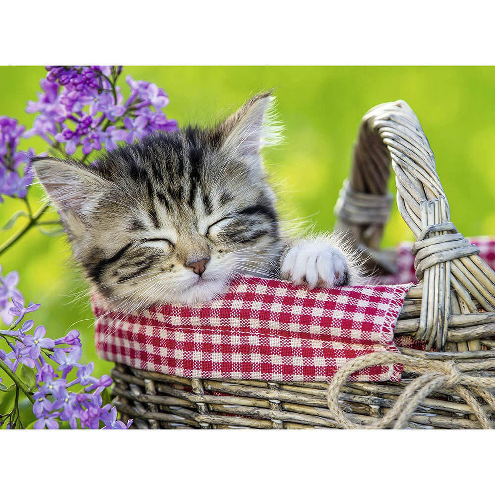 Ravensburger 100 pc Puzzles - Sleeping Kitten