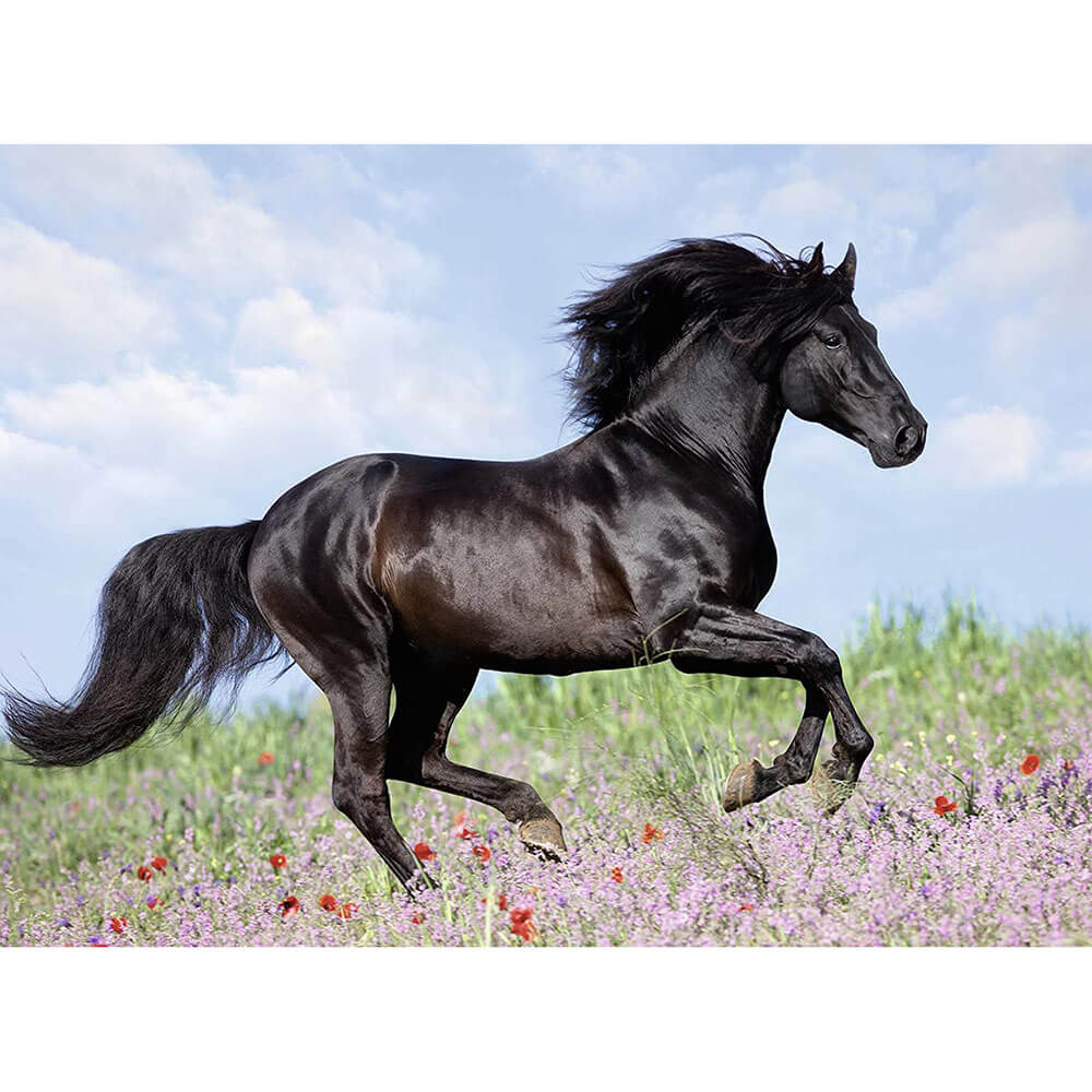 Ravensburger 200 pc Puzzles - Beautiful Horse