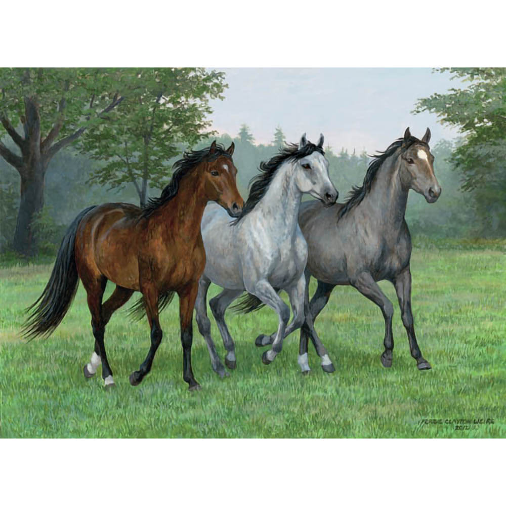 Ravensburger 200 pc Puzzles - Wild Trifecta