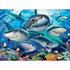 Ravensburger 300 pc Puzzles - Smiling Sharks