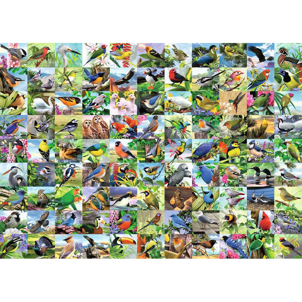 Ravensburger 99 Delightful Birds 300 Piece Large Format Jigsaw Puzzle