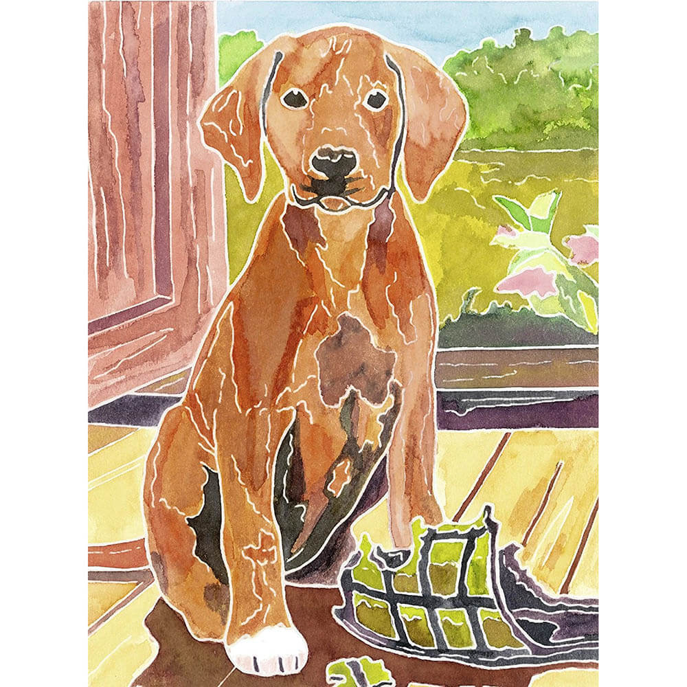 Ravensburger Aquarelle Midi - Puppies