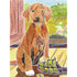 Ravensburger Aquarelle Midi - Puppies