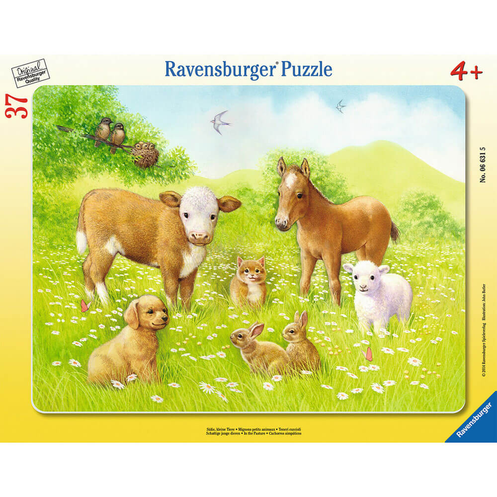 Ravensburger Frame Puzzles - In the Pasture (37 pc Puzzle)