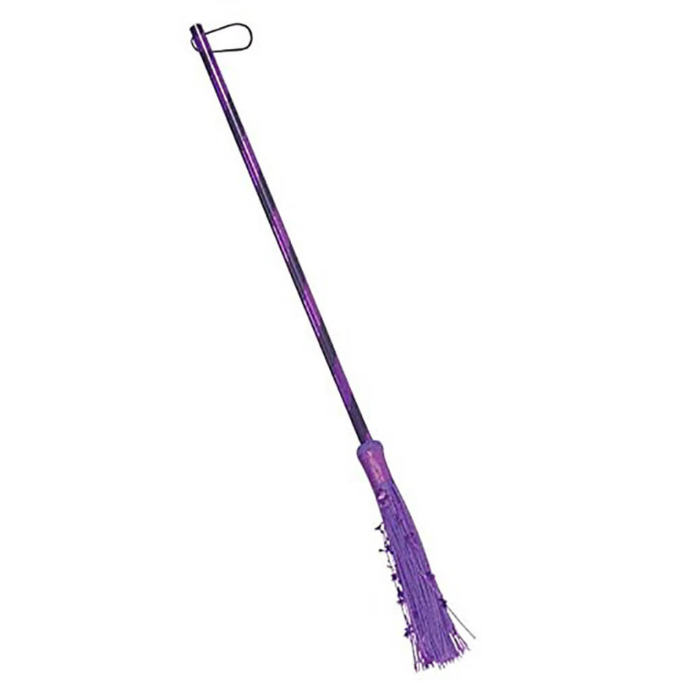 Rubies Purple Metallic Witch Broom