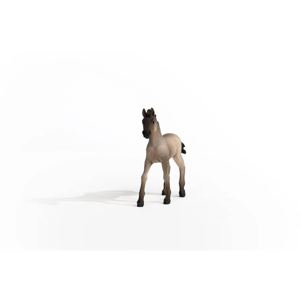 Schleich Horse Club Criollo Definitivo Foal (13949)