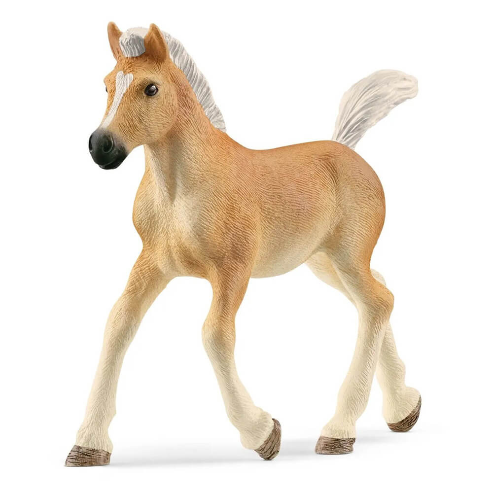 Schleich Haflinger foal figurine in golden tan with a finely textured coat, white mane, raised tail and cream legs steps forward with one hoof lifted against a plain white background.