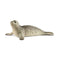 Gray and cream Schleich seal figurine features a finely textured body, scattered dark spots, black eyes and short front flippers, resting with its head raised against a plain white background.