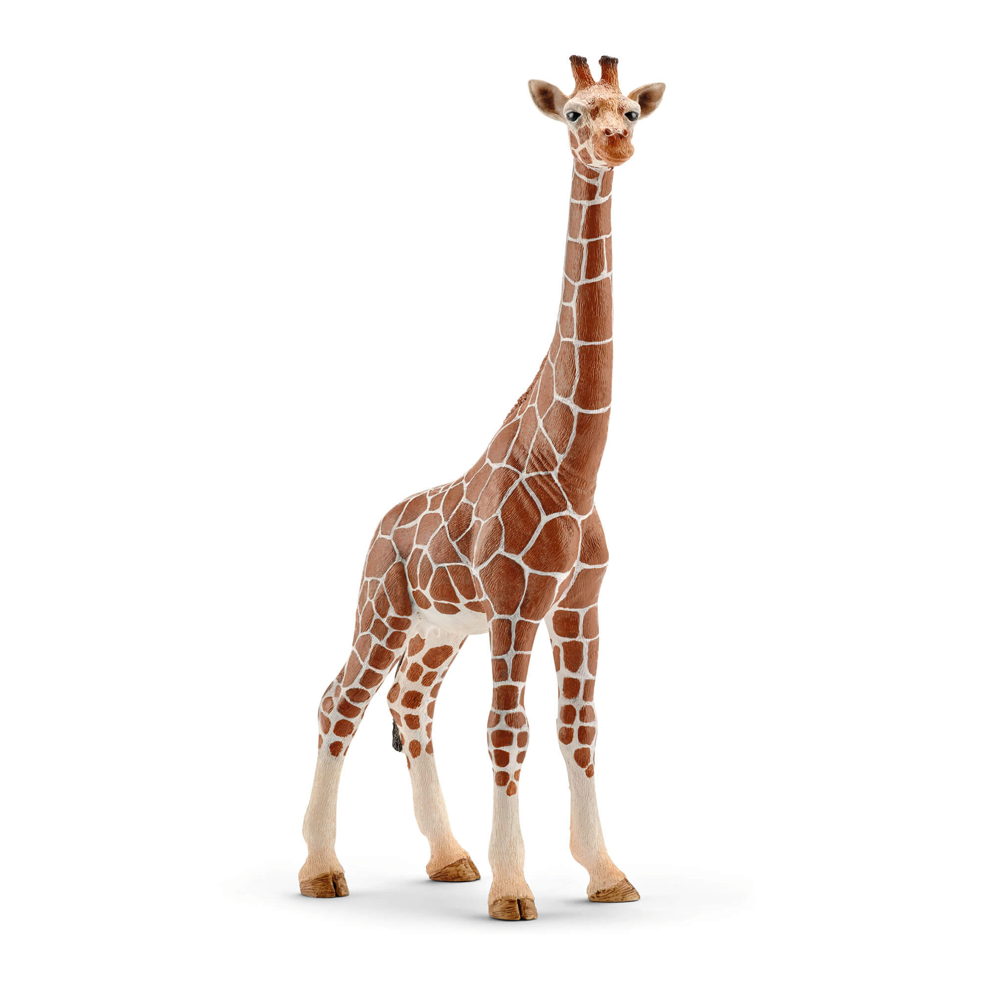 Brown and cream Schleich Wild Life female giraffe toy figure with a textured spotted coat, long upright neck, small horns and slender legs, posed standing against a plain white background.