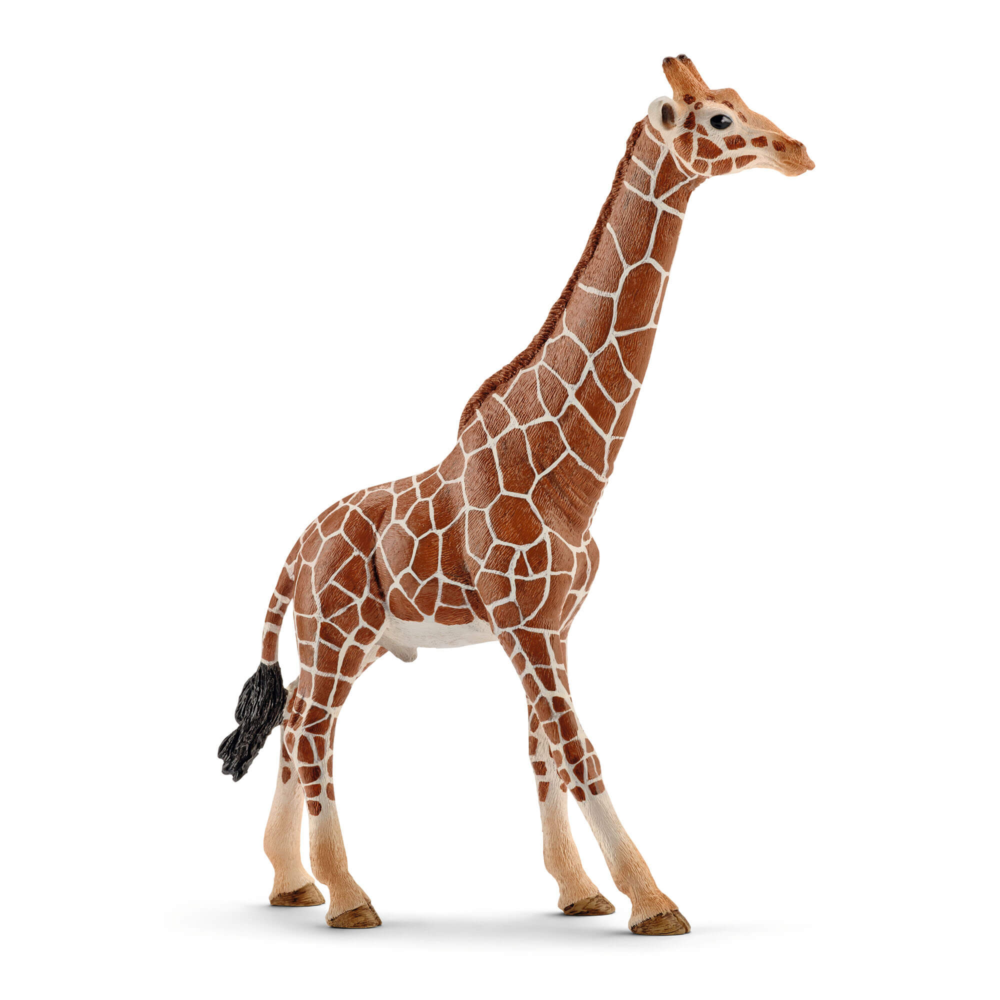 Schleich Wild Life male giraffe toy figure with a brown textured body, cream reticulated markings, long upright neck, slender legs, and black tail tuft, posed walking against a white background.