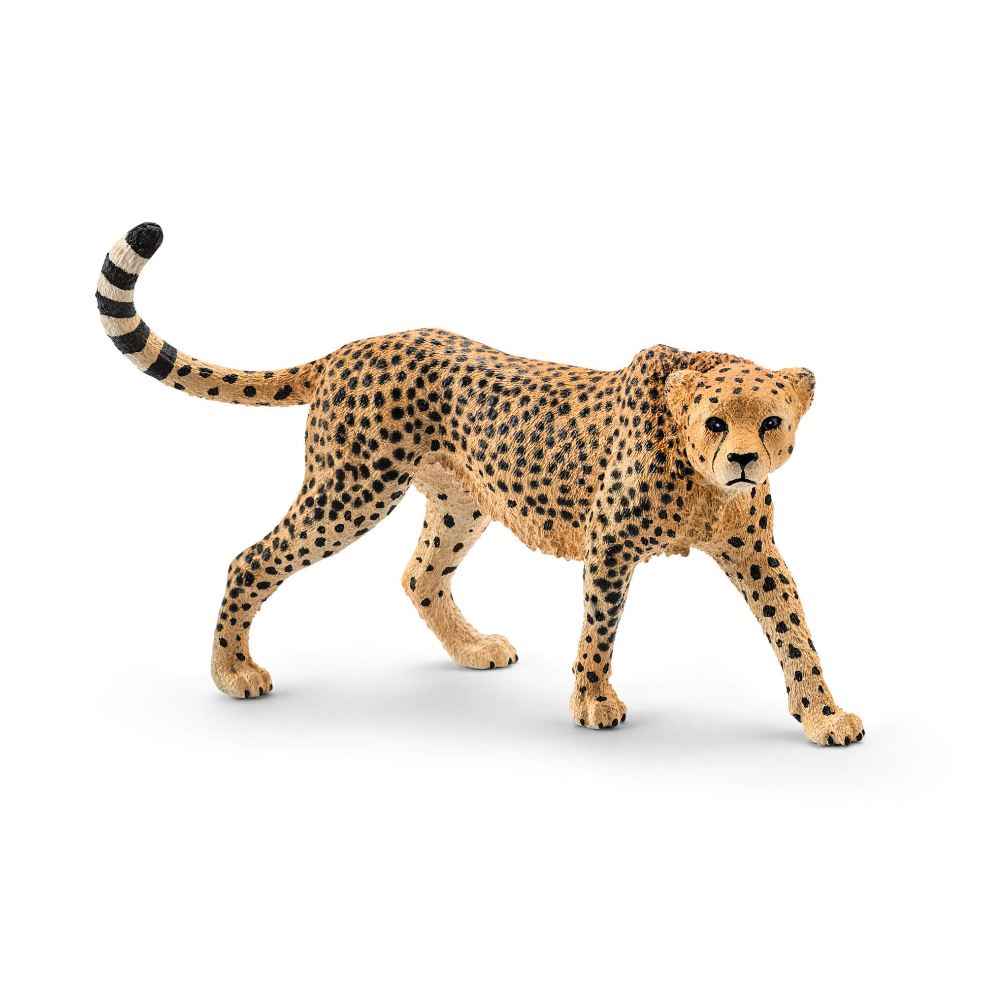 Schleich Wild Life Female Cheetah Animal Figure