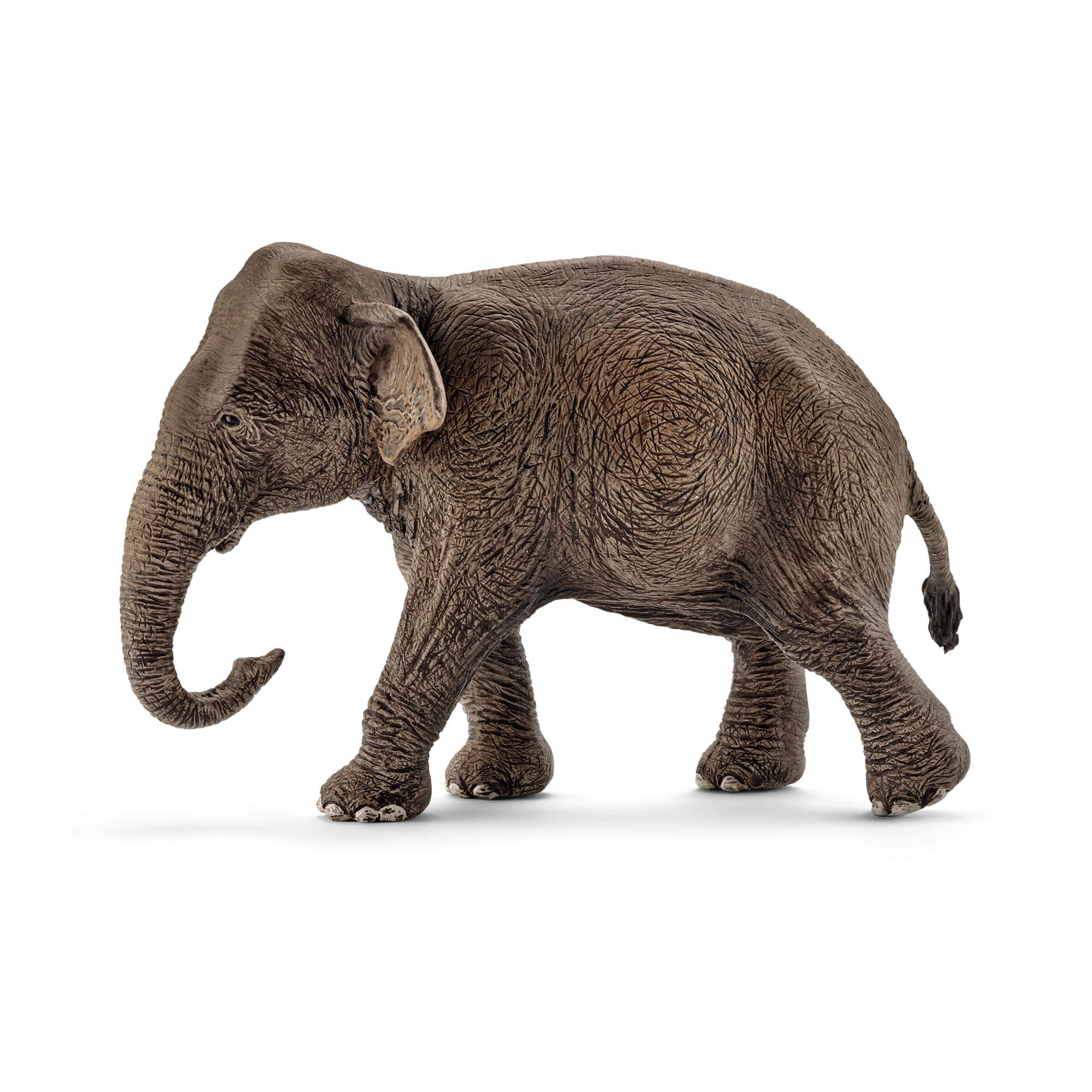 Schleich Wild Life Female Asian Elephant Animal Figure