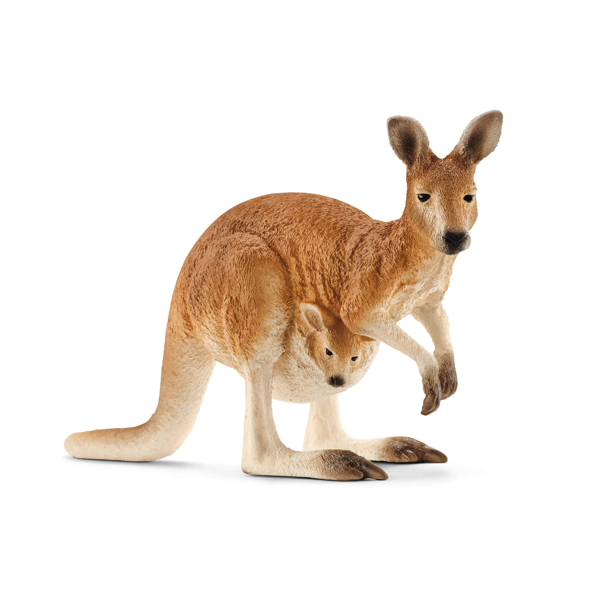 Schleich Wild Life Kangaroo Animal Figure