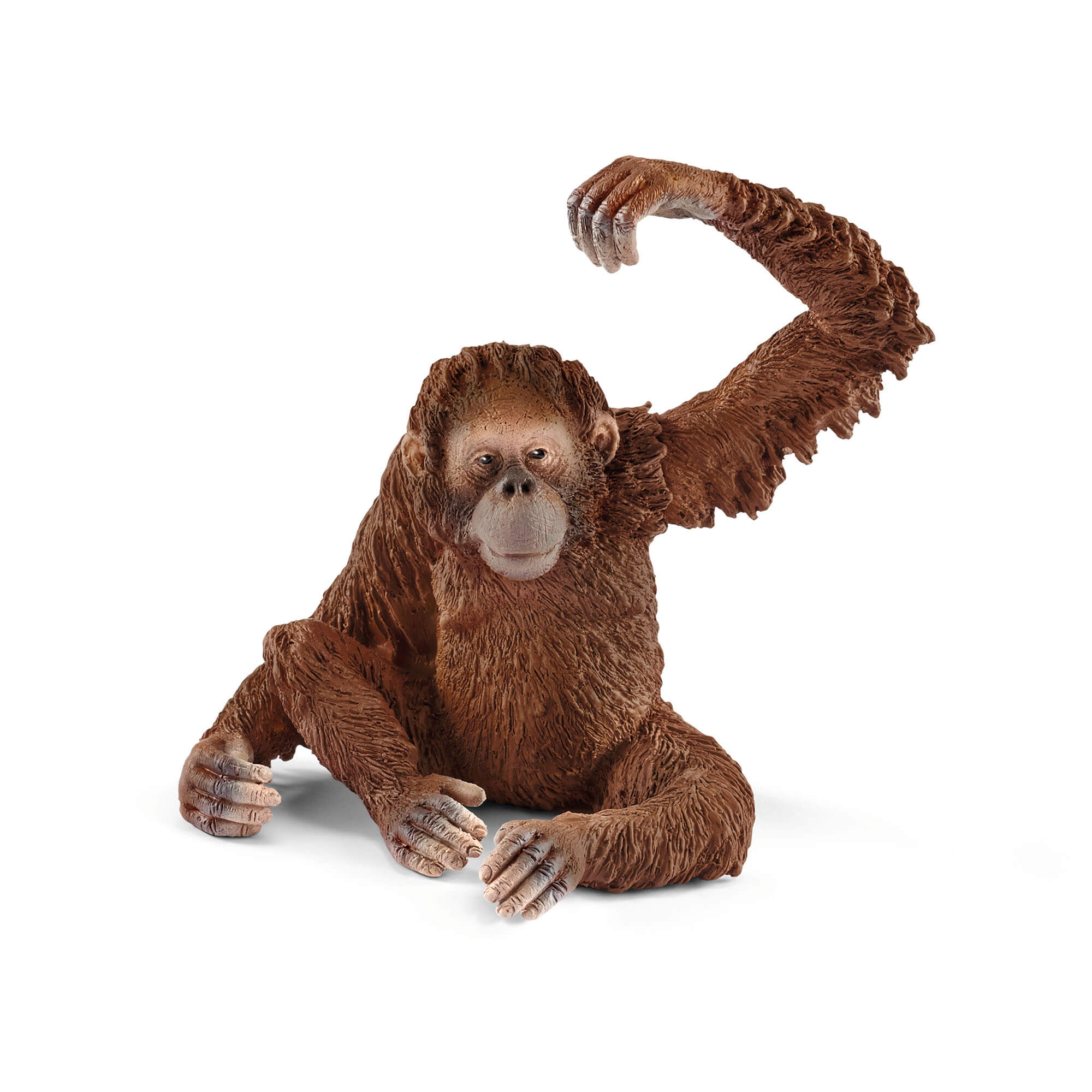 Schleich Wild Life Female Orangutan Animal Figure