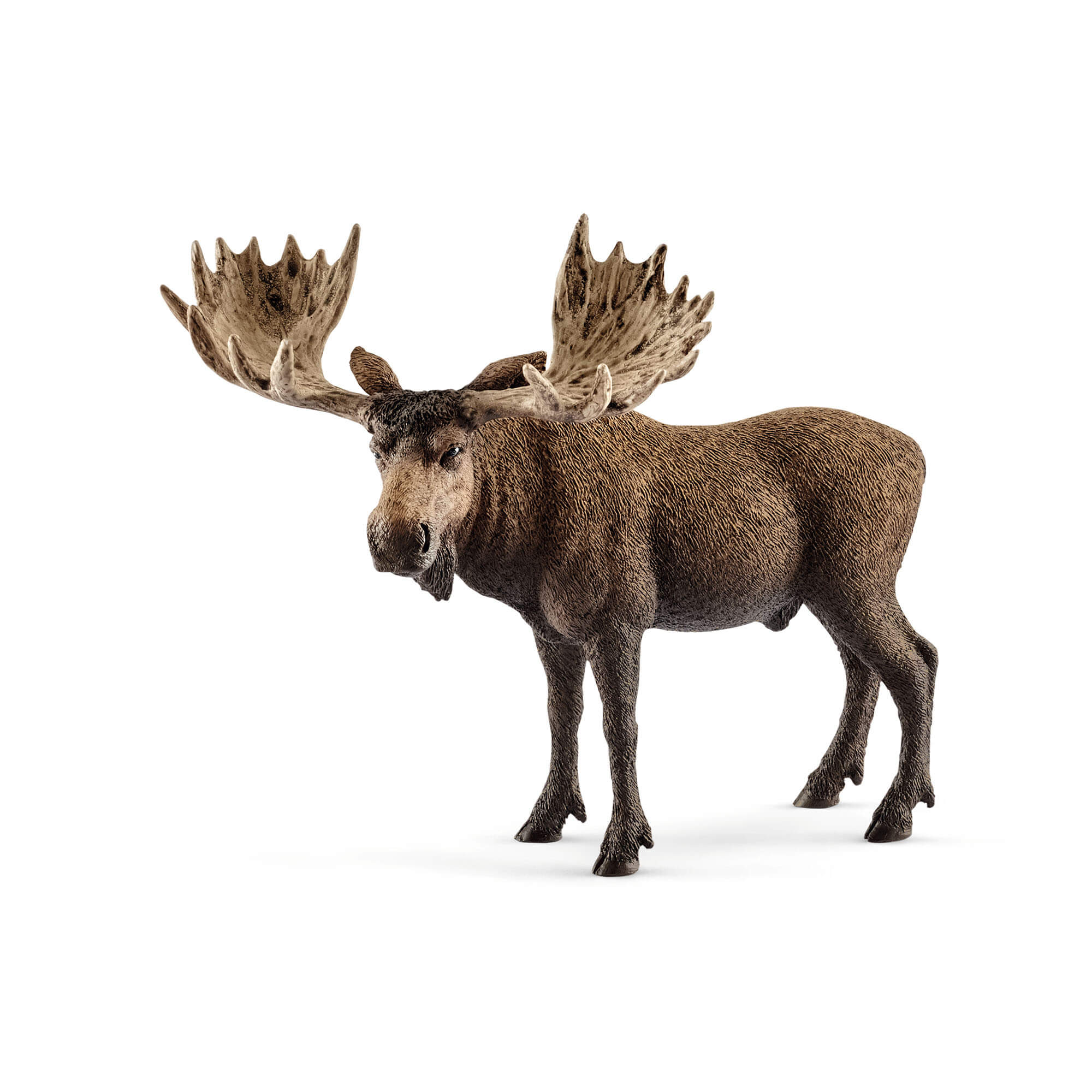 Schleich Wild Life Moose Bull Animal Figure