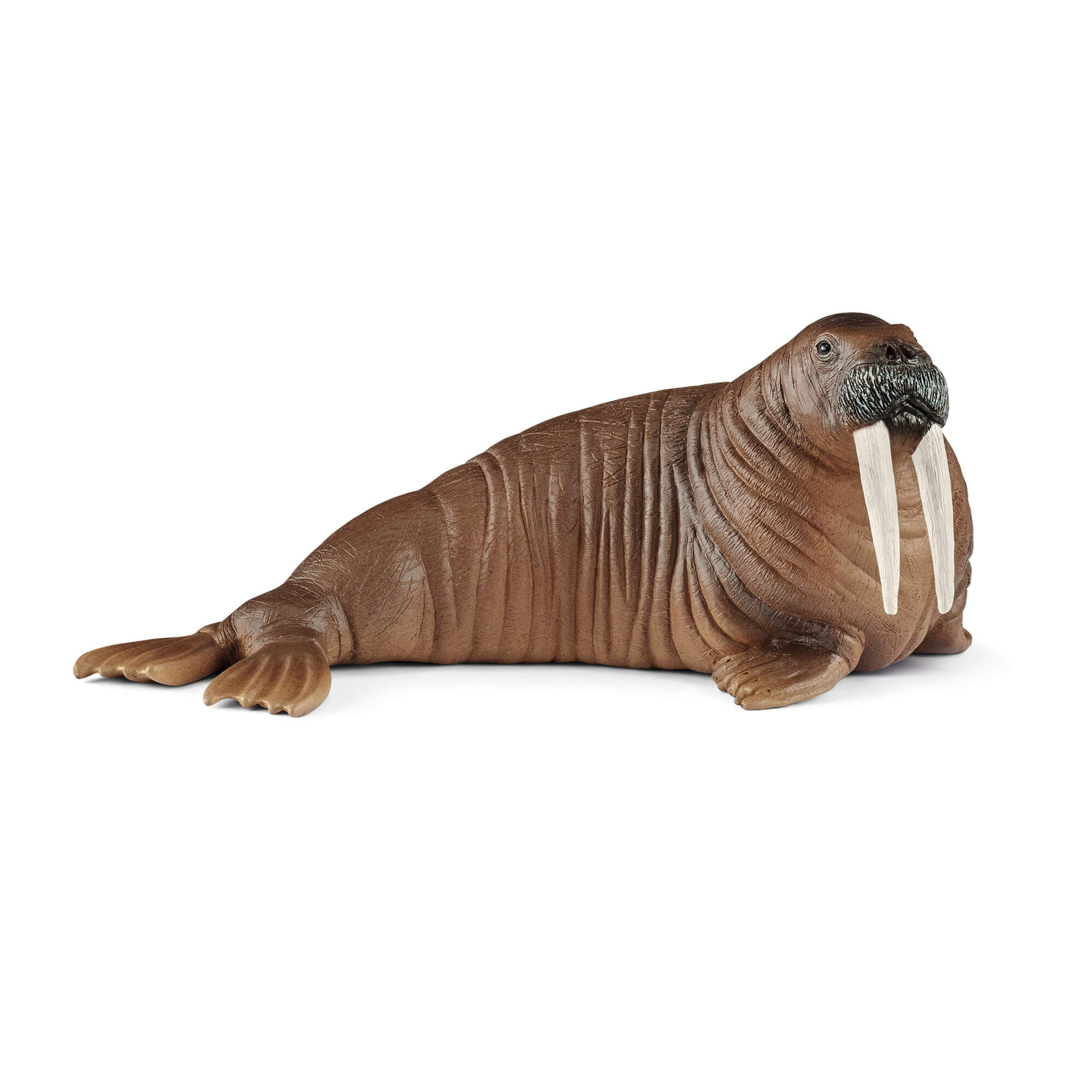 Schleich Wild Life Walrus Animal Figure
